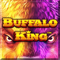 Buffalo King