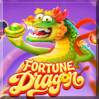 Fortune Dragon